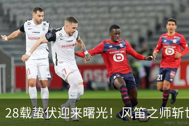 28载蛰伏迎来曙光！风笛之师斩世界杯首胜 有望创造历史